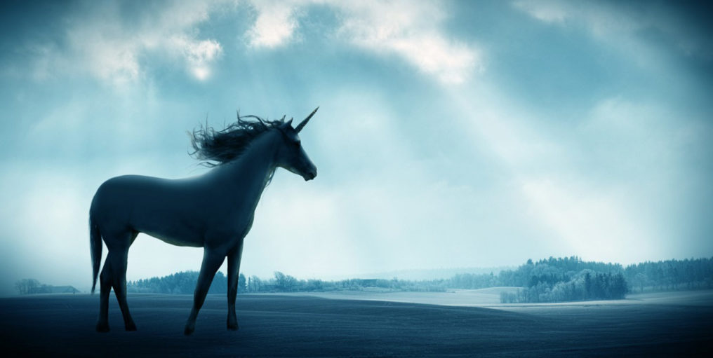Engaging With Unicorns by Optimising Your Candidate Journey in Recruitment